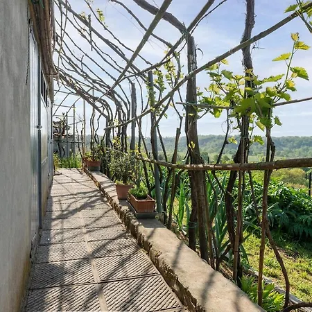 Casa Dei Rustic With Panoramic View * Terranuova Bracciolini