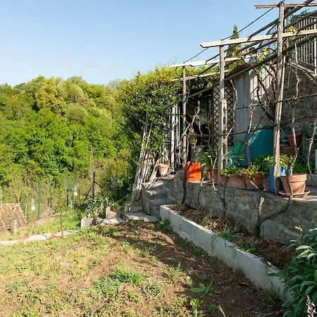 Appartement Casa Dei Rustic With Panoramic View Terranuova Bracciolini