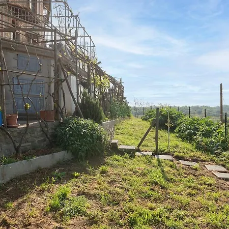Casa Dei Rustic With Panoramic View Lejlighed Terranuova Bracciolini